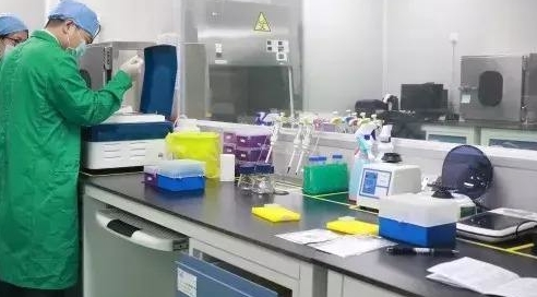 分子微生物實(shí)驗(yàn)室1